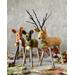 Acorn with his two friends, Flora and Fern.  Purchase 2 or more deer and receive a 10% discount